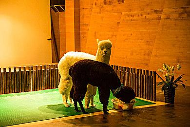 《流放之路2》新更新The Third Edict情报 8月29日上线